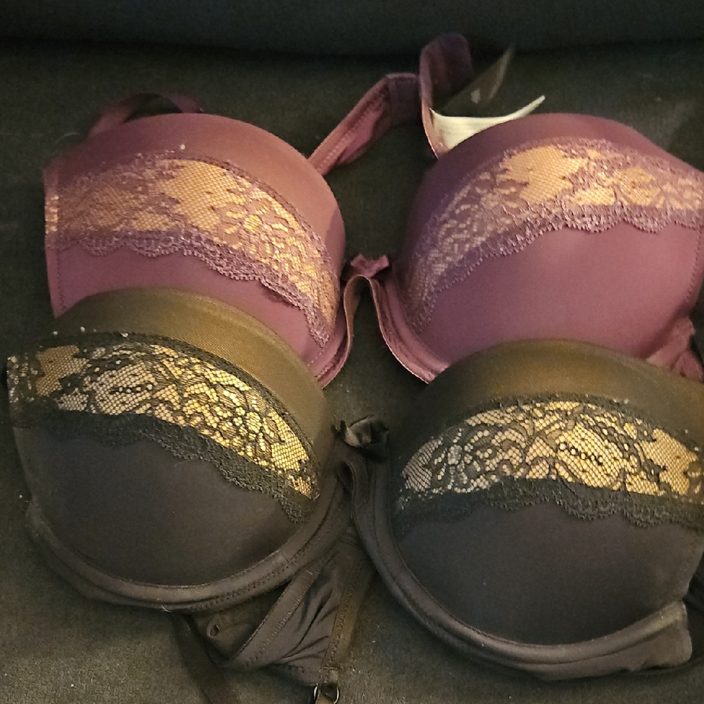 Adore Me Elegant Lace Bras - Plum and Black
